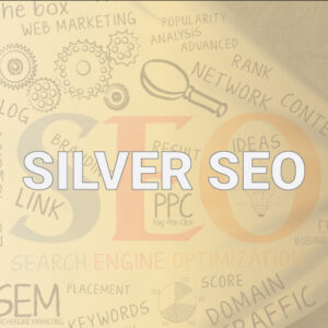 silver-seo